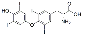 Levothyroxine D-Isomer