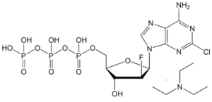 Clofarabine Triphosphate Triethylamine Salt